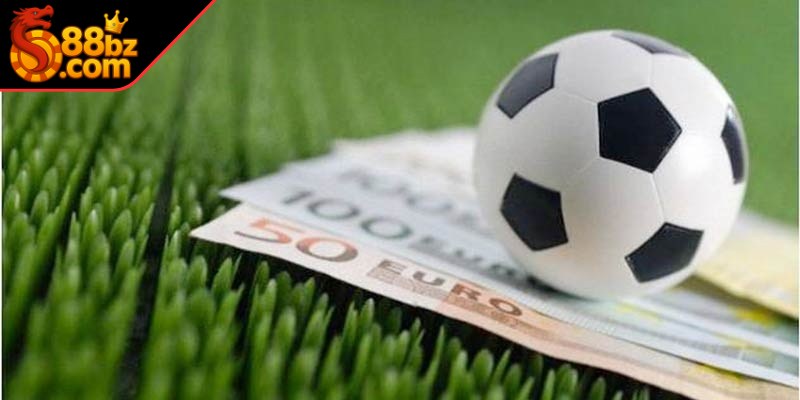 Bí quyết cá độ bóng đá tại 88i cho người mới là theo dõi, cập nhật sát sao